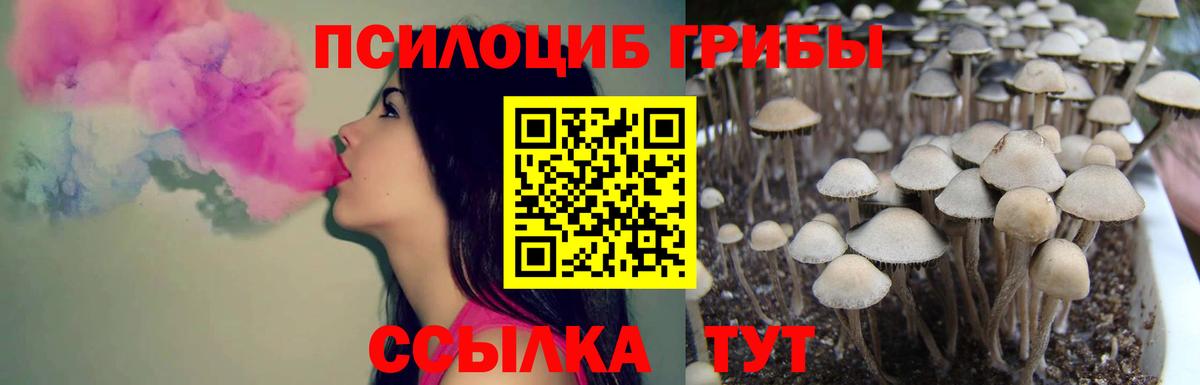 Псилоцибиновые грибы Cubensis  Вход с VPN  Псилоцибиновые грибы Psilocybine cubensis  Магадан 